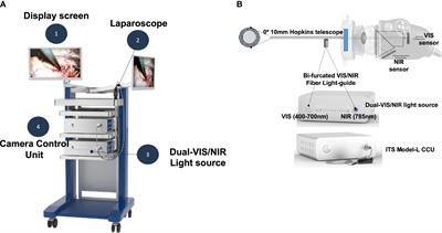 TOETVA parathyroid autofluorescence detection: hANDY-i endoscopy attachment